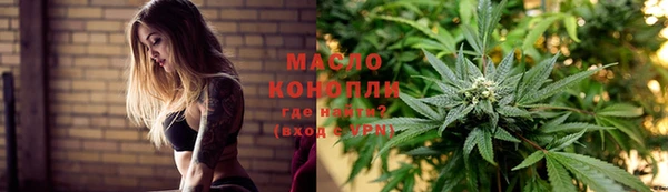 молекула духа Горнозаводск