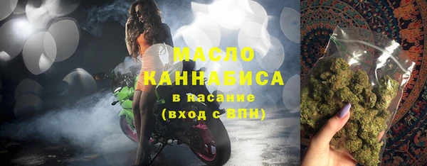 молекула духа Горнозаводск