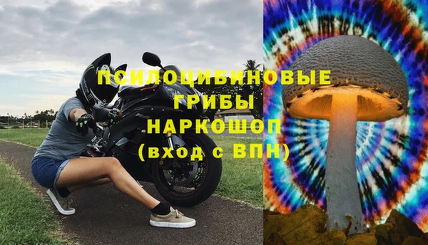 молекула духа Горнозаводск