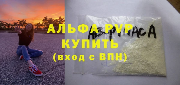 СК Горняк