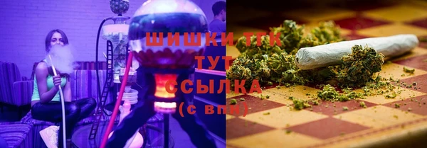 молекула духа Горнозаводск
